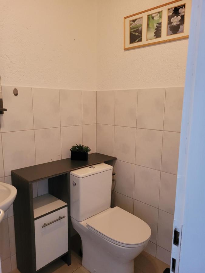 Business Apartment In Rheinfelden Райнфелден Екстериор снимка
